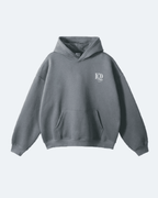 Gray Newman Era Hoodie with a logo on a light gray background